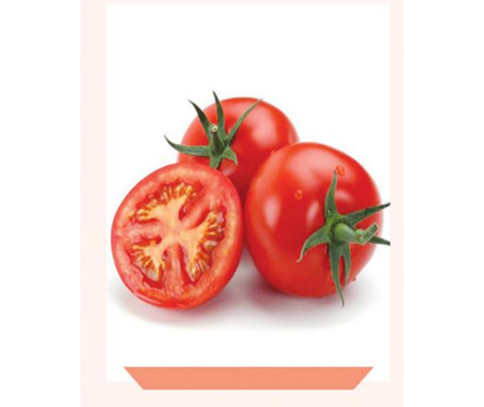 طماطم أرضي اتينيا 783