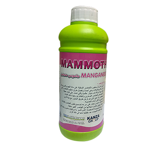 ماموس منجنيز Mamoth manganis