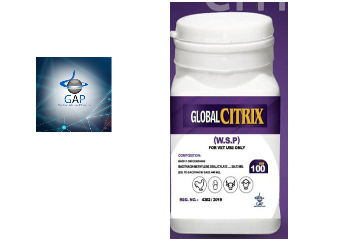 جلوبال سيتريكس Global Citrix